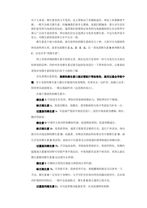 给宠龟补充维生素时的注意事项