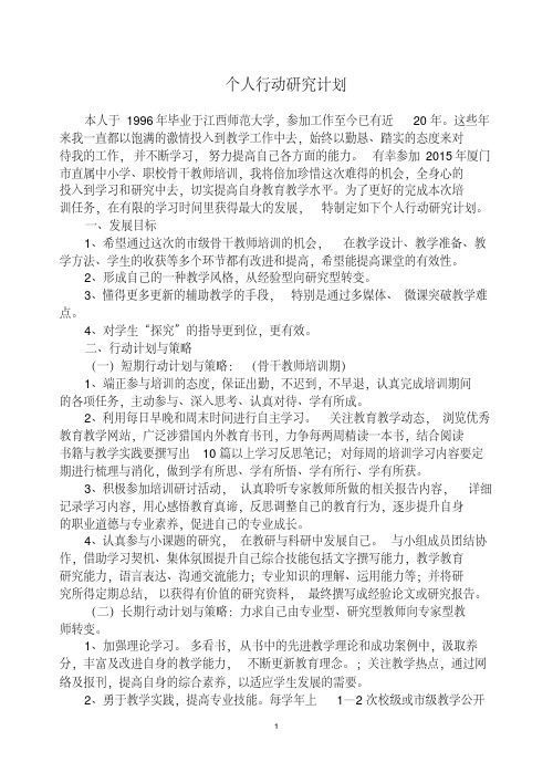 个人行动研究计划