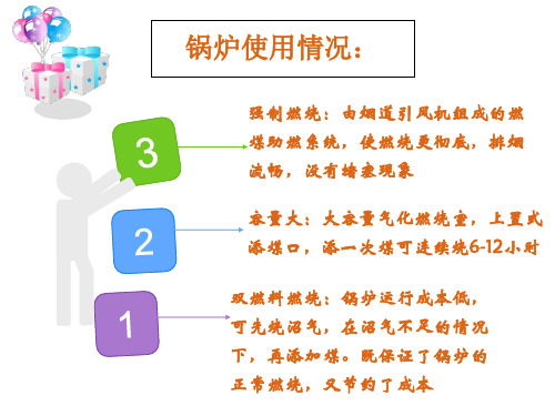 多种锅炉介绍特点