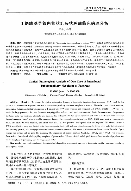 1例胰腺导管内管状乳头状肿瘤临床病理分析