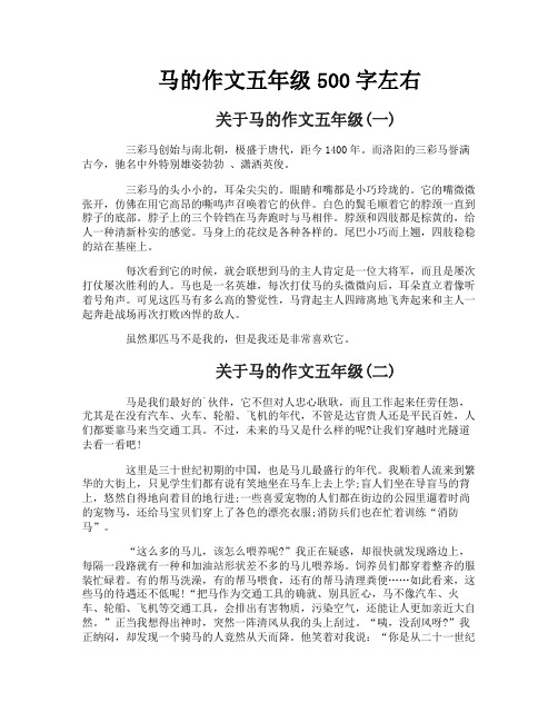 马的作文五年级500字左右