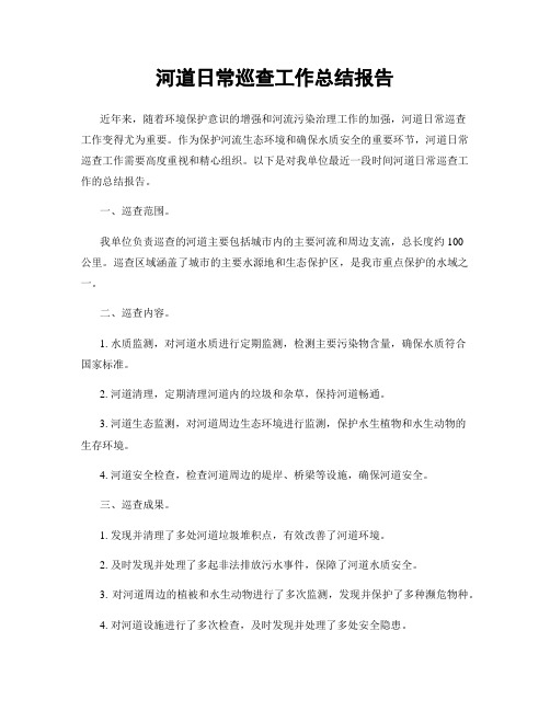 河道日常巡查工作总结报告