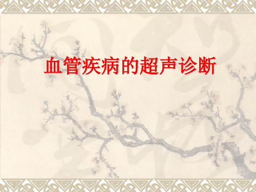 血管疾病的超声诊断