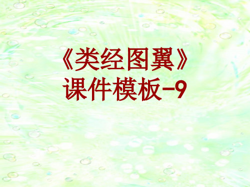 类经图翼课件模板-009(共29)