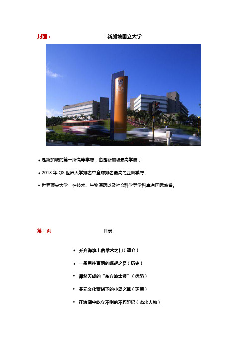 新加坡国立大学-文字精简版