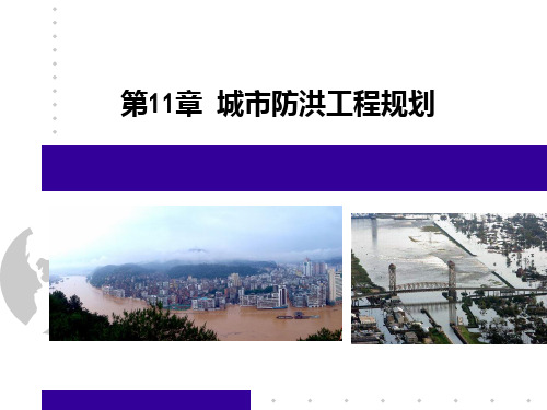 市政工程规划城市防洪工程规划PPT课件