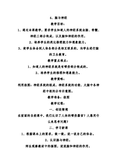 推荐精品小学科学青岛版(六三制)五年级下册四脑和神经 (1)