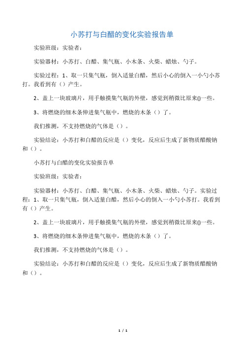 小苏打与白醋的变化实验报告单