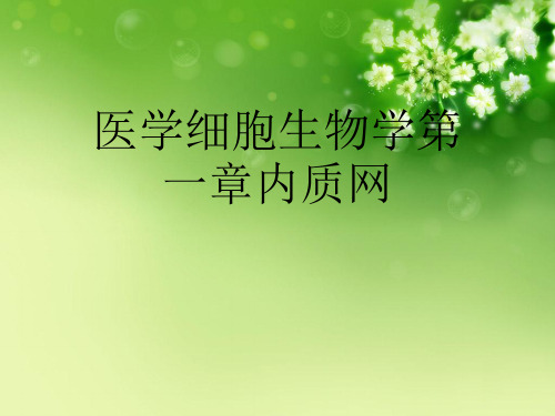 医学细胞生物学第一章内质网