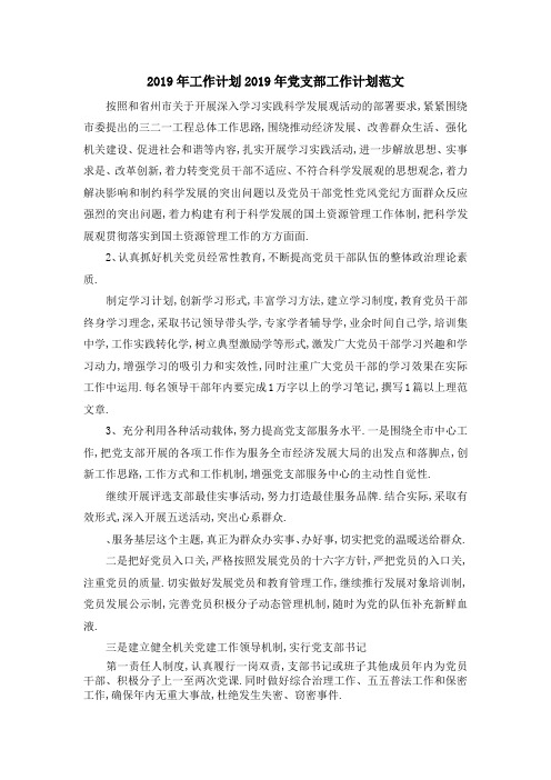 2019年工作计划 2019年党支部工作计划范文 精品