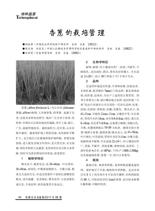 香葱的栽培管理