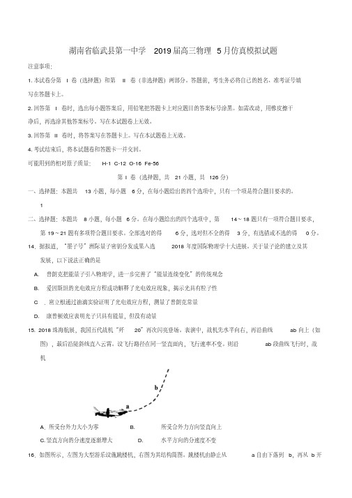 湖南省临武县第一中学2019届高三物理5月仿真模拟试题(含答案)