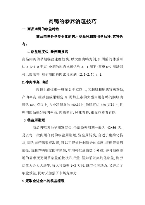 肉鸭的饲养管理技术