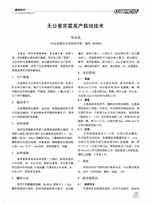 无公害芫荽高产栽培技术