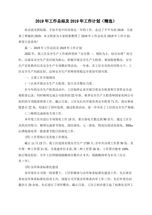 2019年工作总结及2019年工作计划(精选)