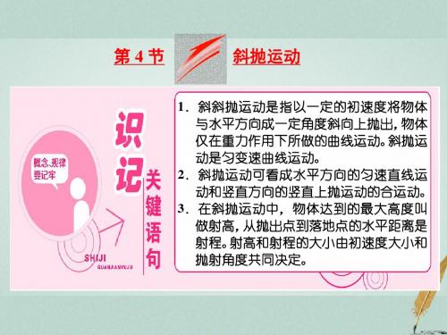 2017-2018学年高中物理 第3章 抛体运动 第4节 斜抛运动课件 鲁科版必修2