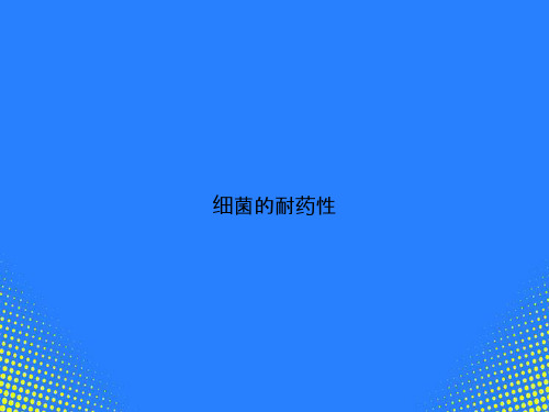 【精选文档】细菌的耐药性PPT