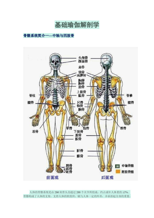基础瑜伽解剖学