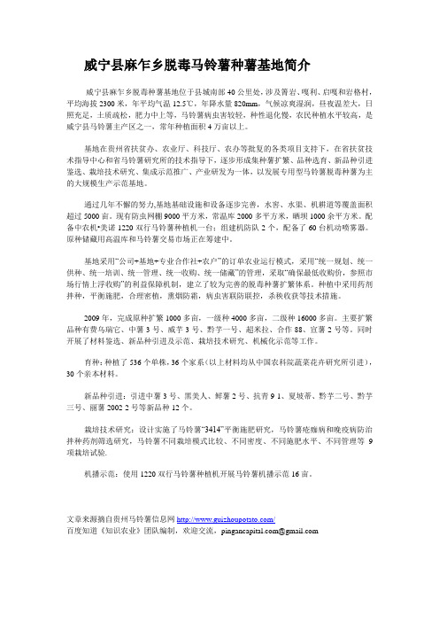 威宁县麻乍乡脱毒马铃薯种薯基地简介.
