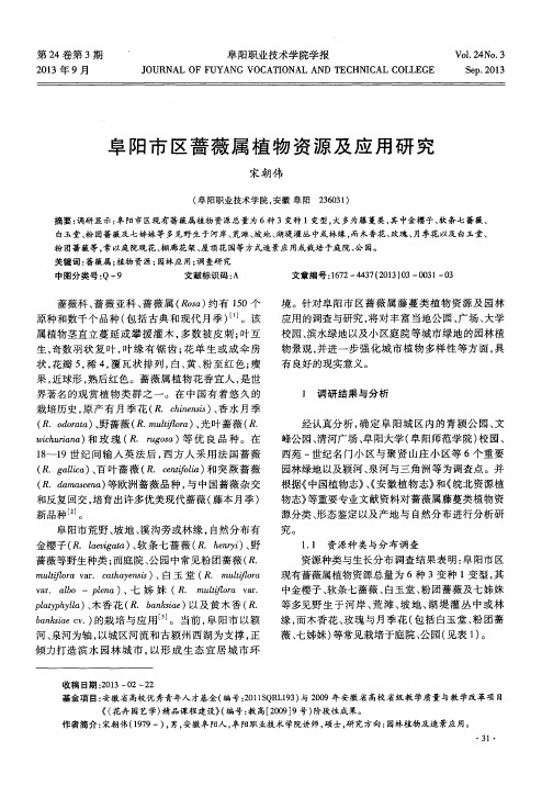 阜阳市区蔷薇属植物资源及应用研究