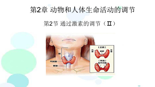 人教版高中生物必修三2.2通过激素的调节(Ⅱ)(共16张PPT)