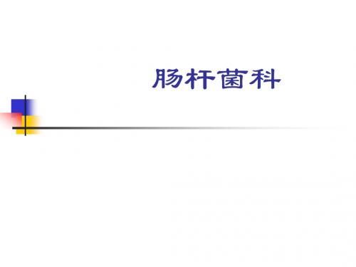 肠杆菌科鉴定全