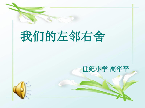 我们的左邻右舍