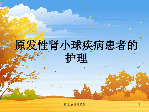 原发性肾小球疾病患者的护理PPT课件