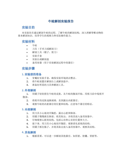 牛蛙解剖实验报告