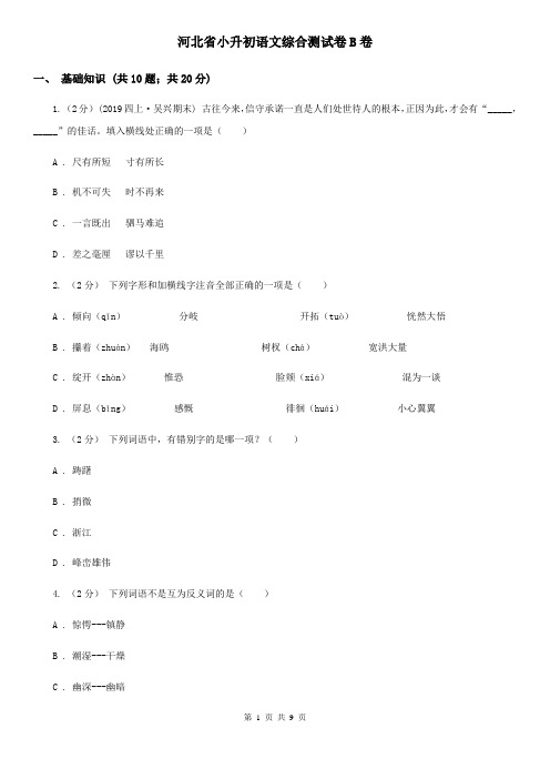 河北省小升初语文综合测试卷B卷