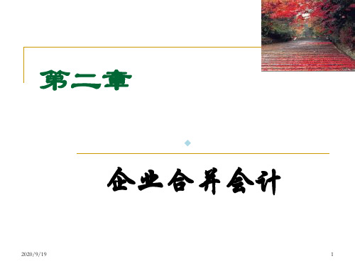 第二章企业合并会计