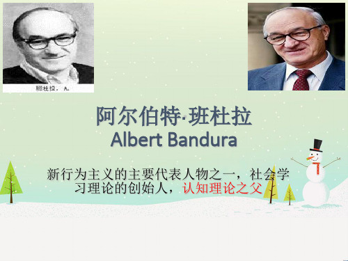 班杜拉ppt终极版