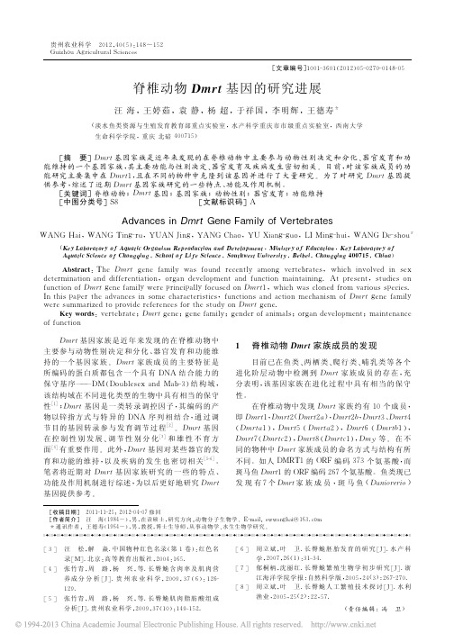 脊椎动物Dmrt基因的研究进展