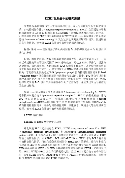 EZH2在肿瘤中的研究进展