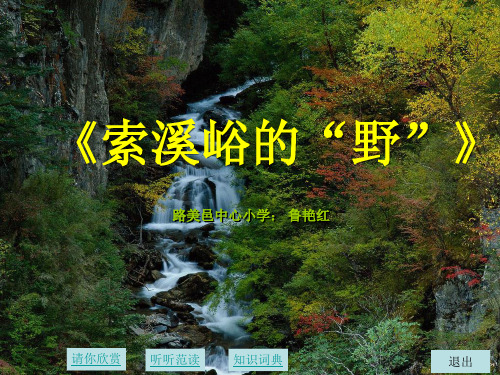 《索溪峪的“野”》教学设计PPT课件