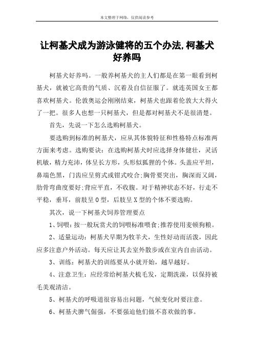 让柯基犬成为游泳健将的五个办法,柯基犬好养吗