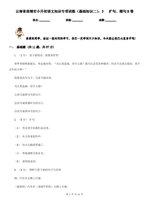 云南省曲靖市小升初语文知识专项训练(基础知识二)：3   扩句、缩句B卷