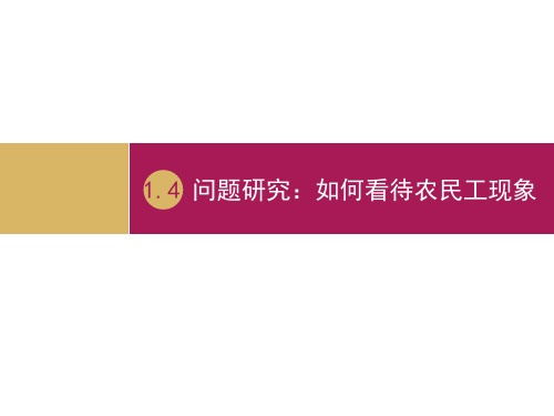 问题研究：如何看待农民工现象
