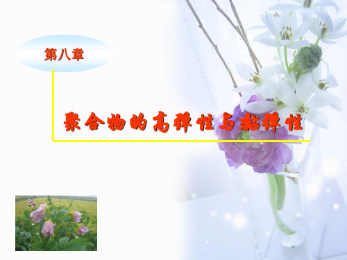 11级高分子物理8 聚合物的高弹性和黏弹性
