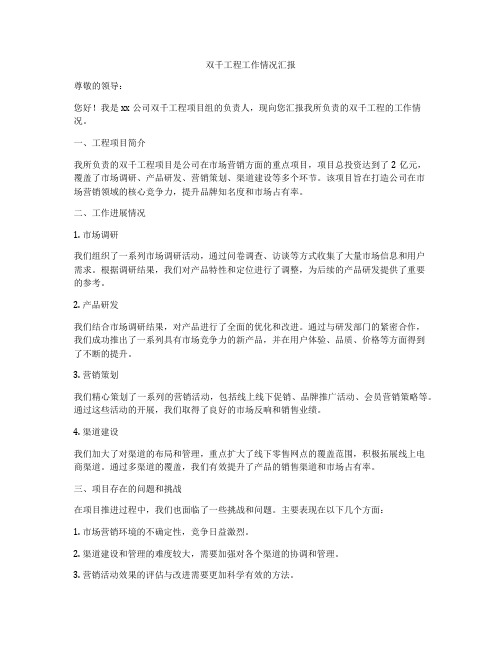 双千工程工作情况汇报
