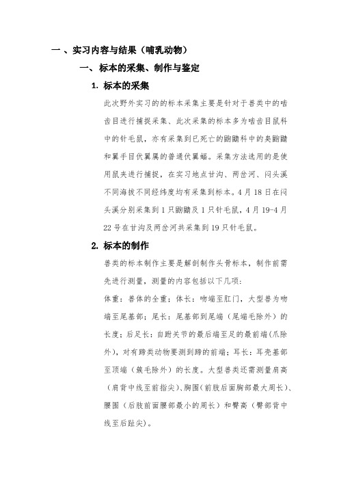 哺乳动物实习报告