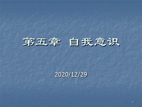 第五节自我意识