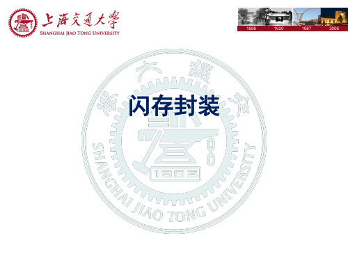 flash 闪存封装