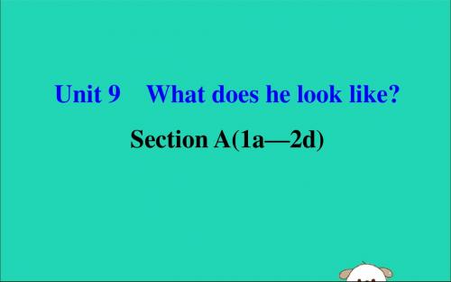 2019版七年级英语下册Unit9WhatdoeshelooklikeSectionA(1a_2d)教学课件(新版)人教新目标版