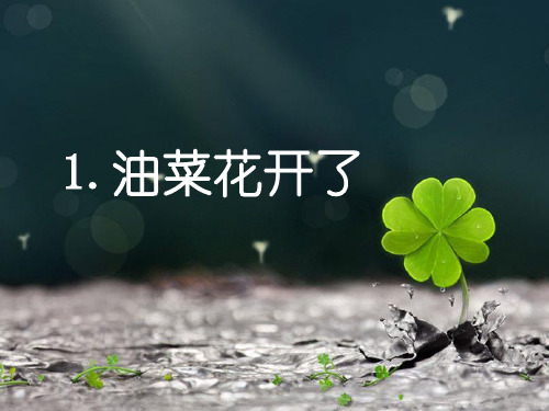教科版科学最新四下2-1《油菜花开了》PPT