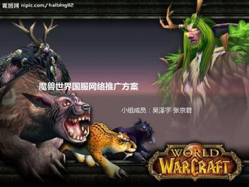 魔兽世界国服网络推广方案(ppt28张)