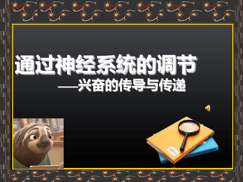 兴奋的传导与传递(一轮复习)PPT课件