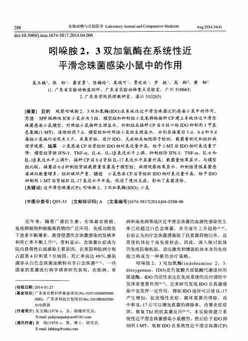 吲哚胺2,3双加氧酶在系统性近平滑念珠菌感染小鼠中的作用