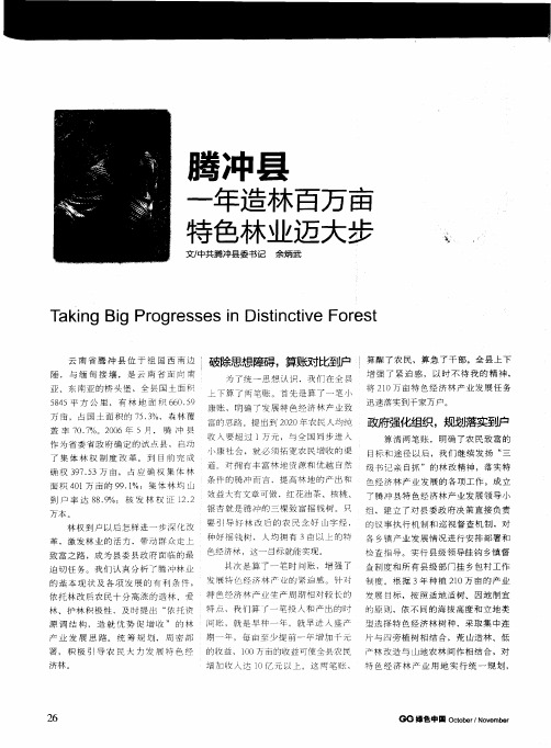 腾冲县 一年造林百万亩 特色林业迈大步