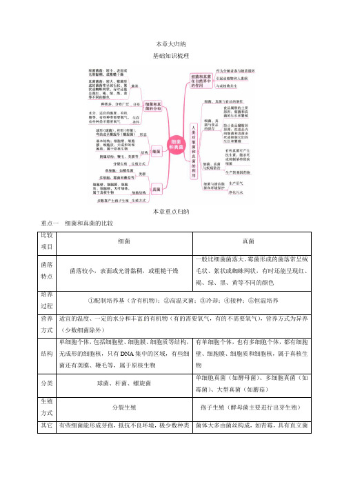 初中生物-八年级生物知识点-第五单元 第四章细菌和真菌